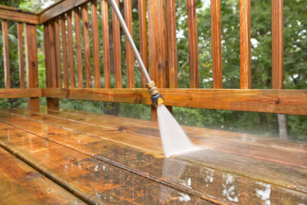 Animal Enclosure Cleaning in Heath, TX